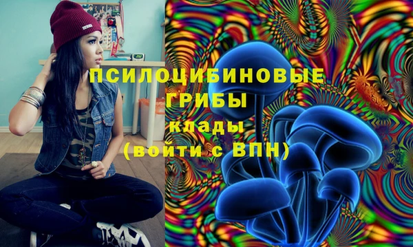 ПСИЛОЦИБИНОВЫЕ ГРИБЫ Балабаново