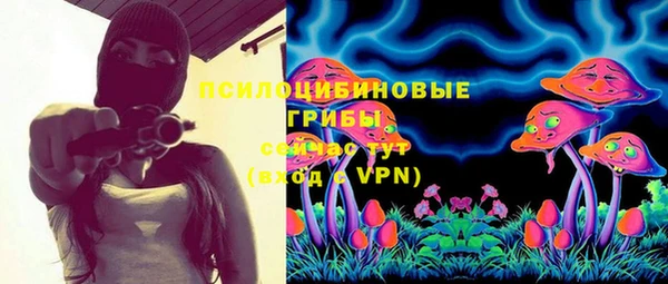 ПСИЛОЦИБИНОВЫЕ ГРИБЫ Белокуриха