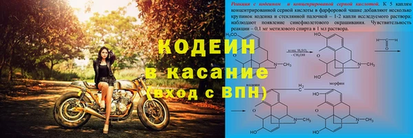 ПСИЛОЦИБИНОВЫЕ ГРИБЫ Белокуриха