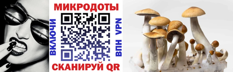 мега ссылка Нерехта Галлюциногенные грибы прущие грибы даркнет сайт