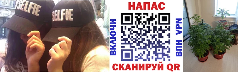 где продают   Нерехта  Бошки Шишки Ganja 